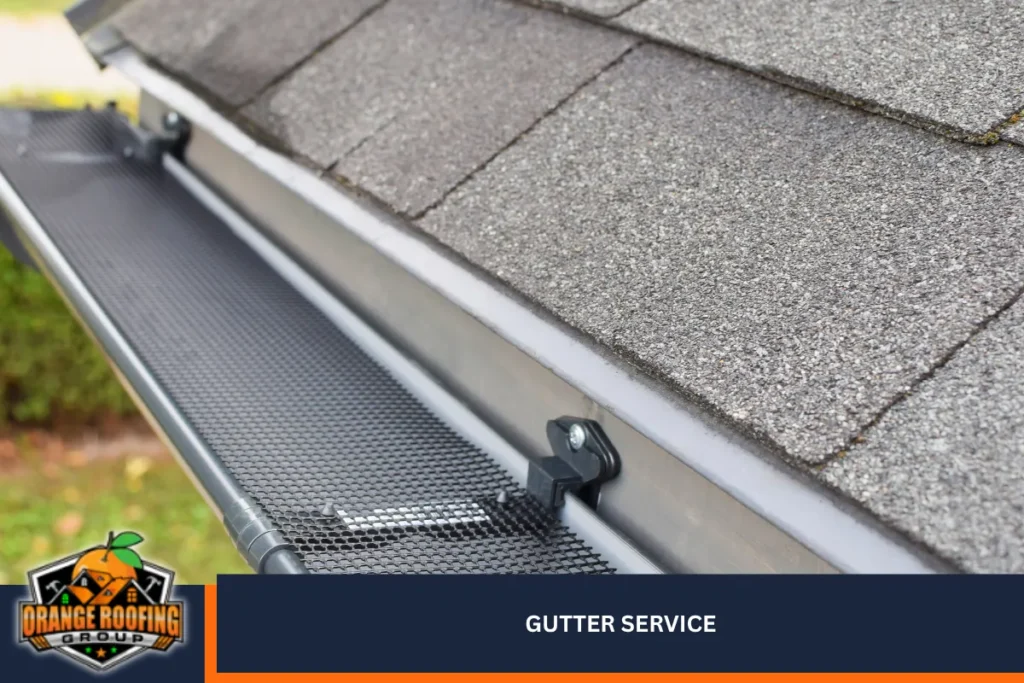 Gutter Service