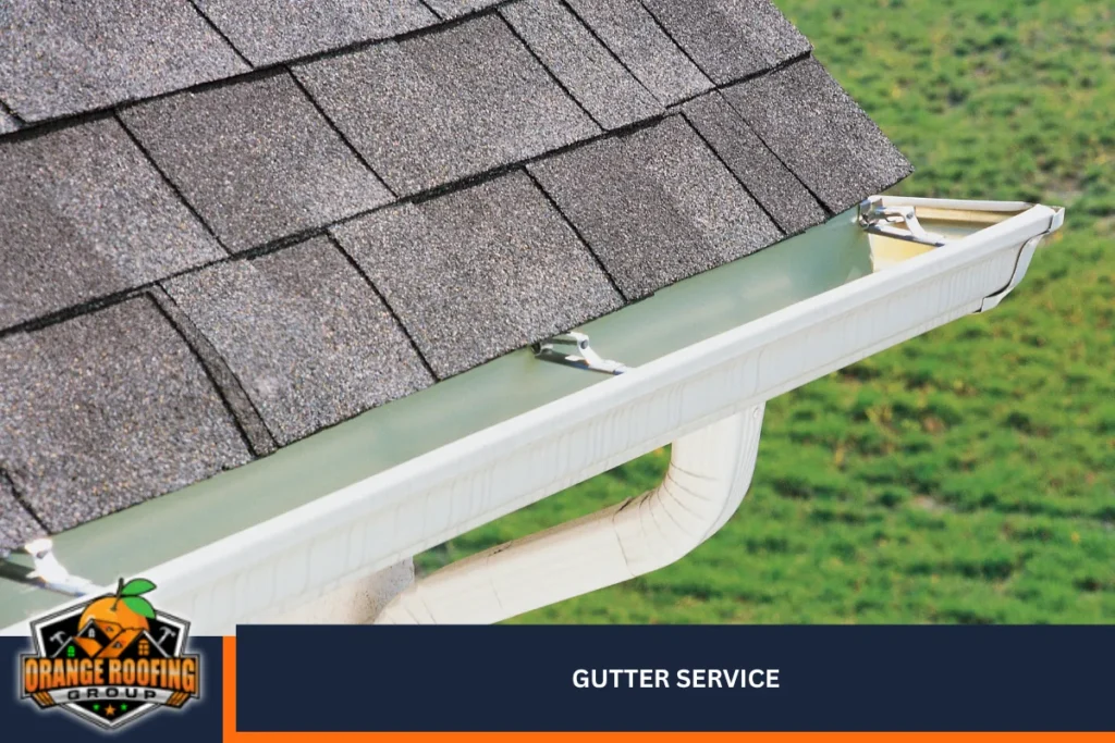 Gutter Service