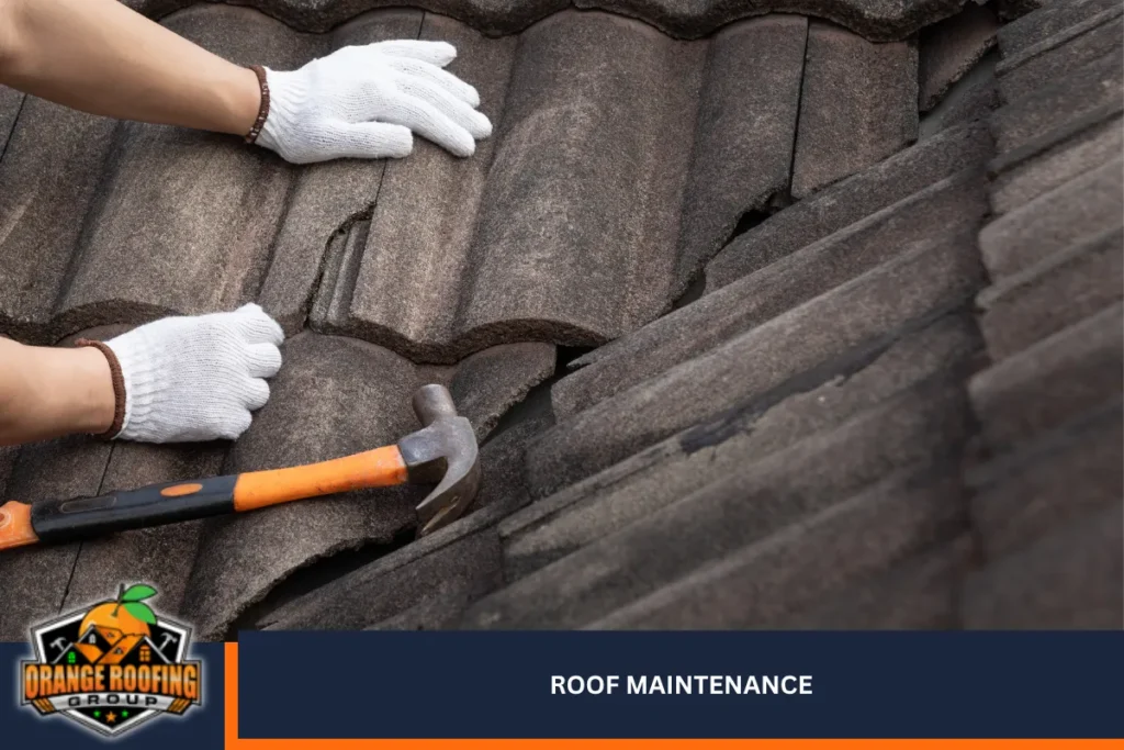 Roof Maintenance