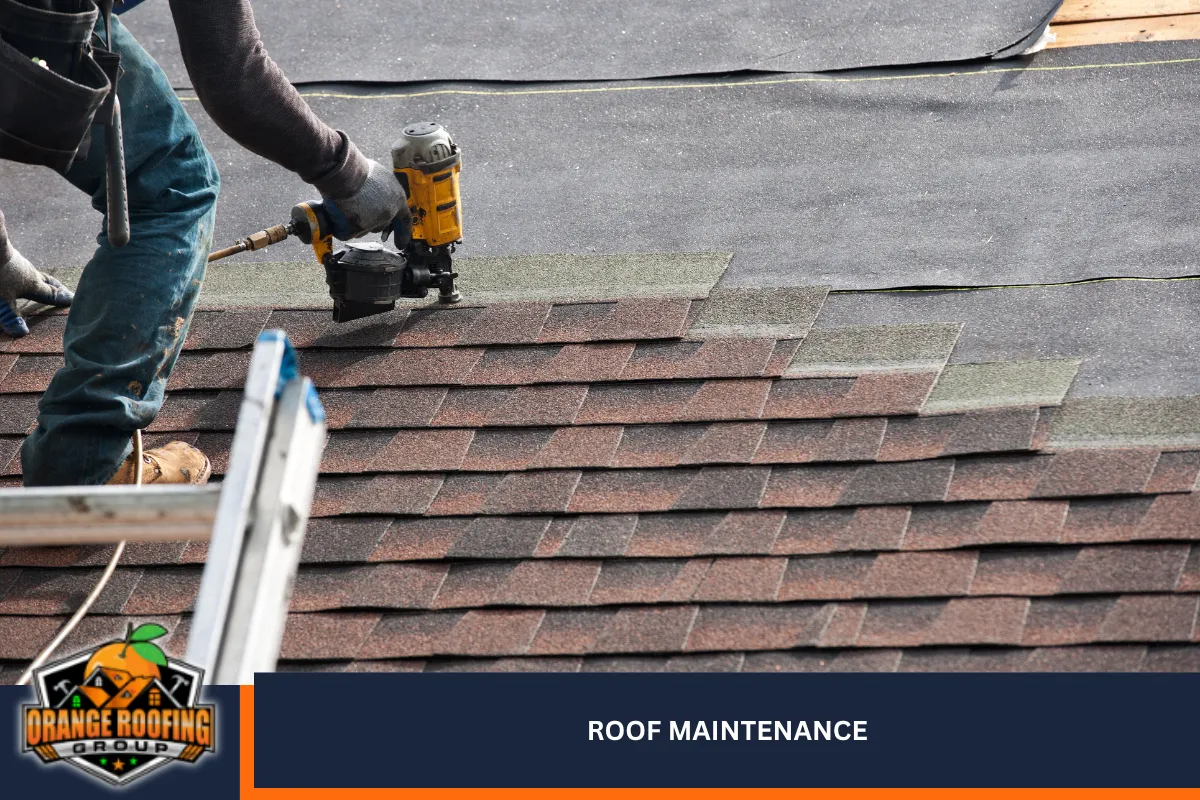 Roof Maintenance