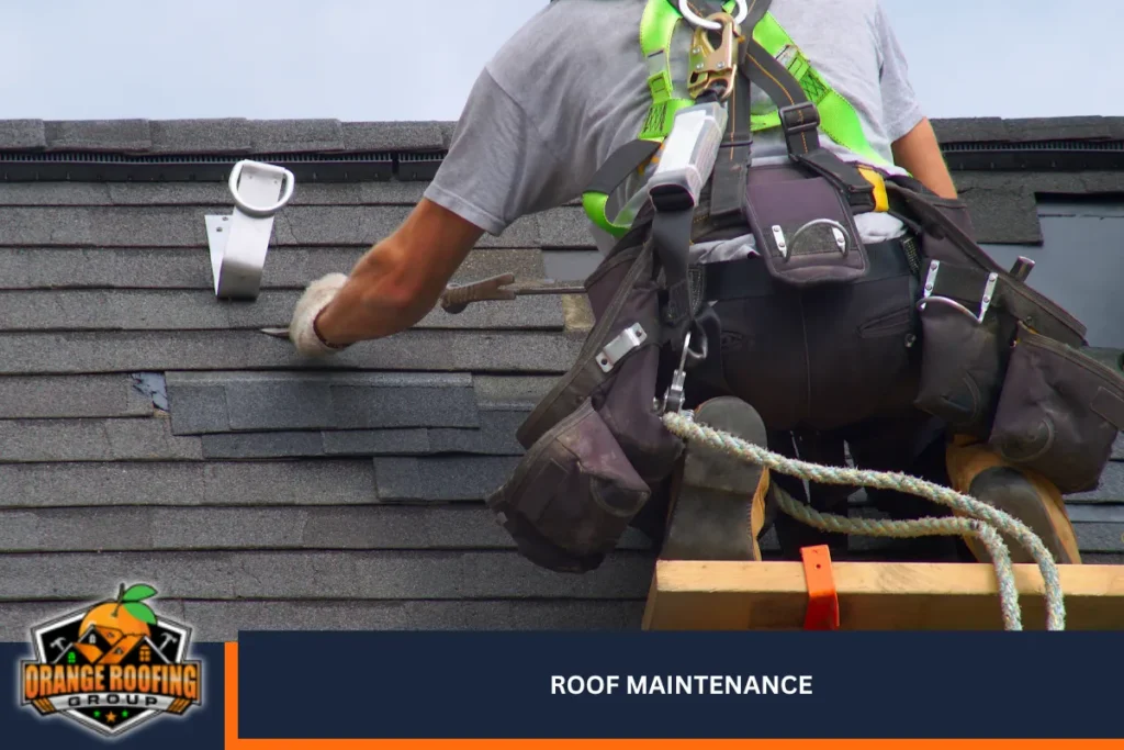 Roof Maintenance
