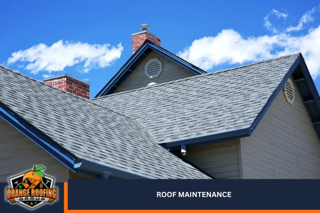 Roof Maintenance