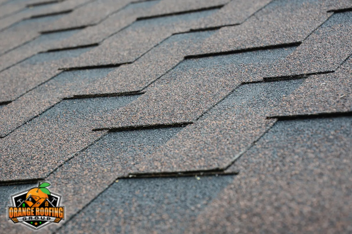Factors That Shape Asphalt Shingle Roof Lifespan on Staten Island