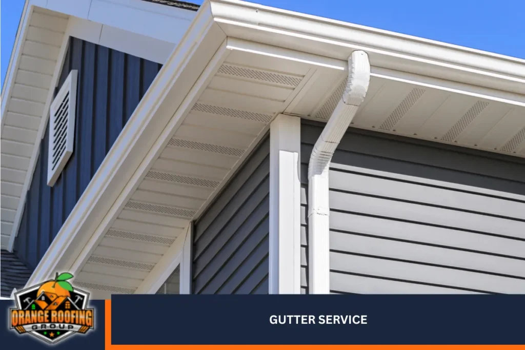 Gutter Service