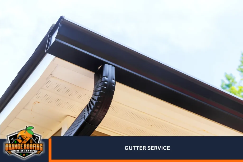 Gutter Service