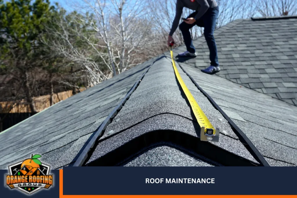 Roof Maintenance