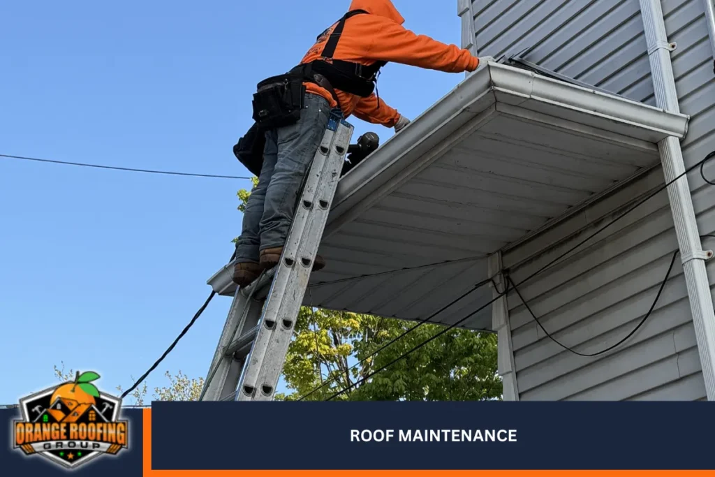Roof Maintenance