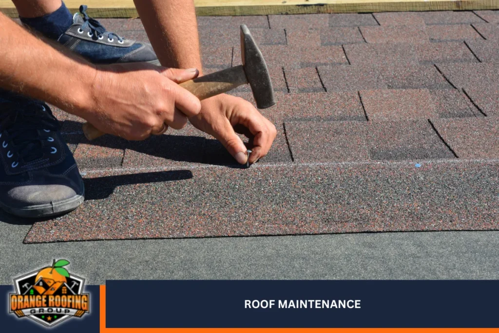 Roof Maintenance