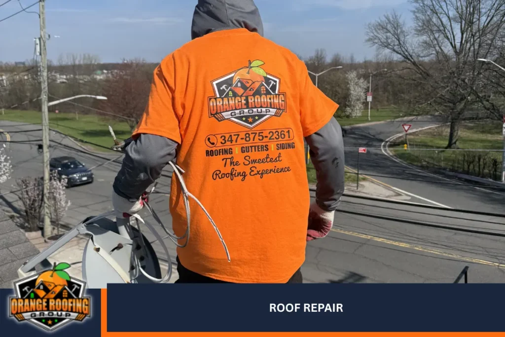 Roof Repair