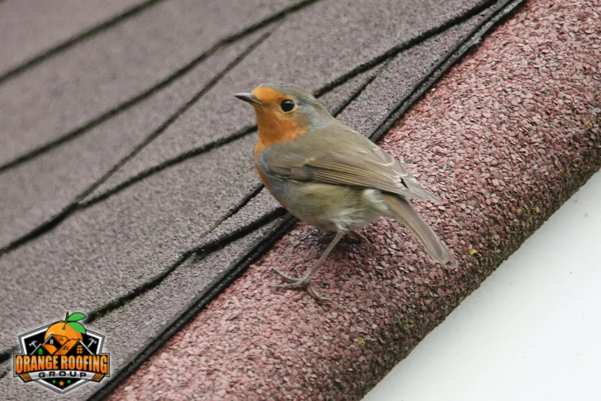 Typical Lifespan Ranges for Common Asphalt Shingle Roofing Options