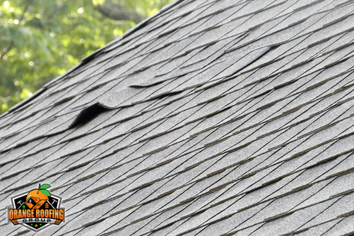 How Staten Island's South Shore Climate Damages Roofs