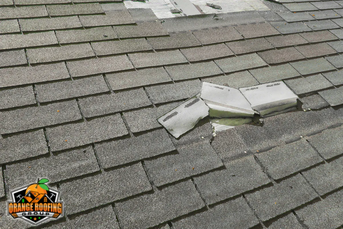Roof Repair Warning Signs Coastal Homeowners Should Never Ignore