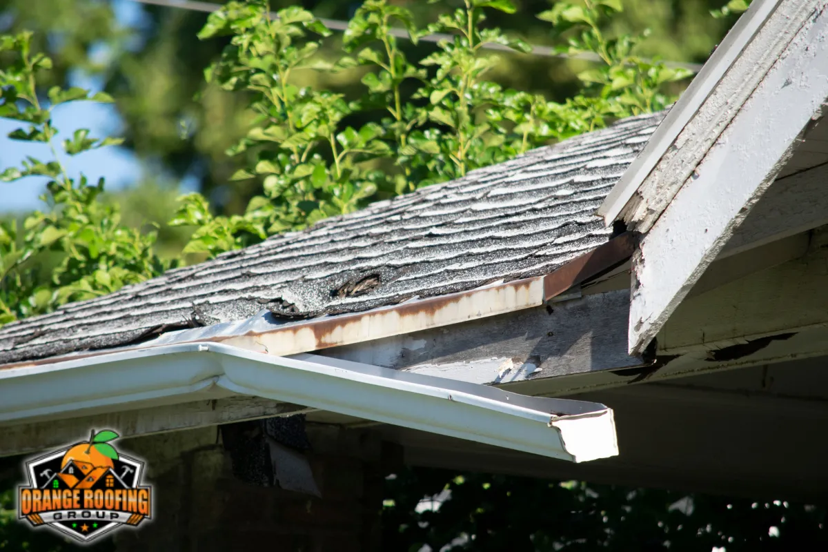 Warning Signs Your Gutters May Be Behind a Roof Leak